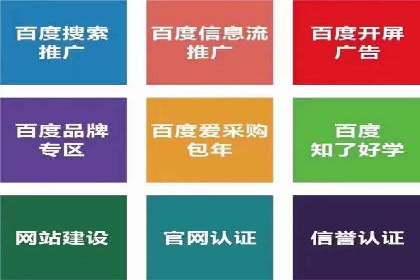 成功SEM托管案例解析
